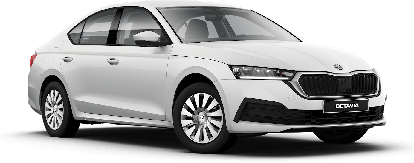 Новый Skoda Octavia цвет белый
