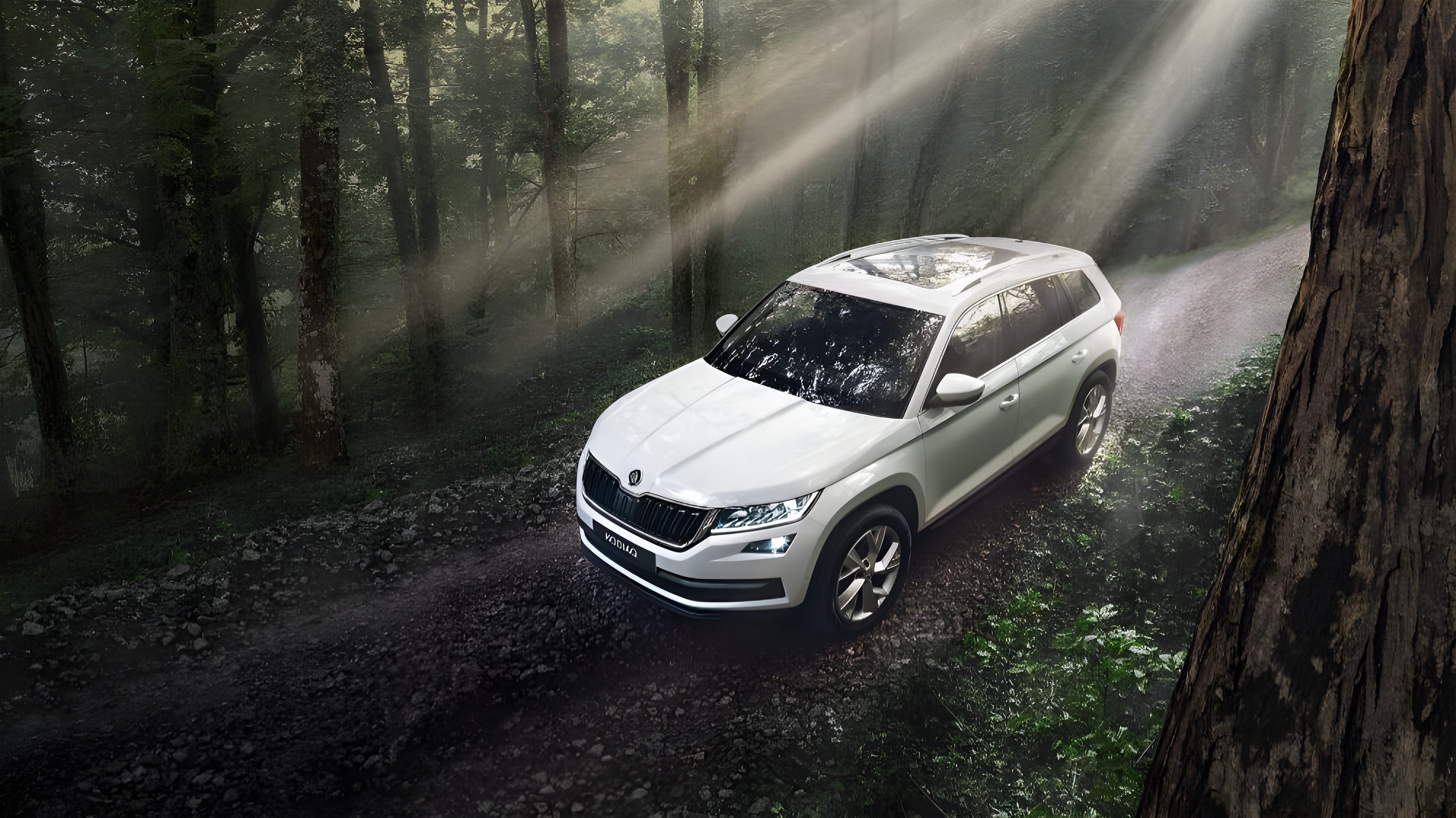 Интерьер/салон нового автомобиля Skoda Kodiaq