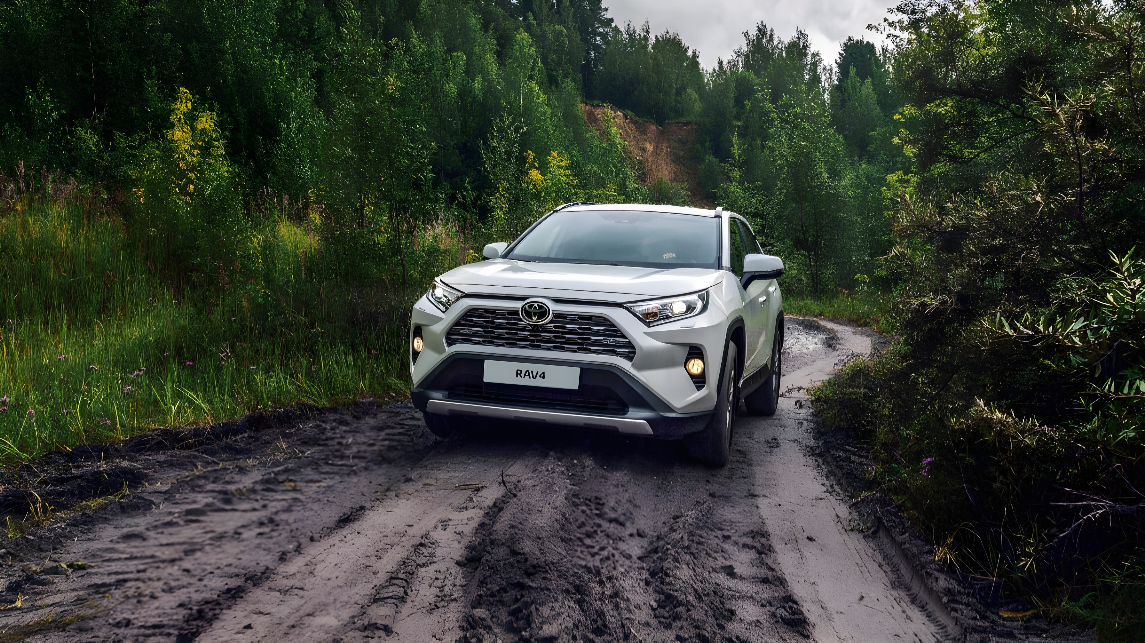 Интерьер/салон нового автомобиля Toyota Rav4