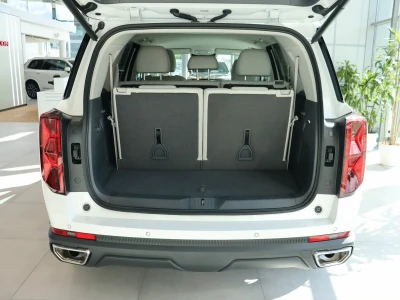 Автомобиль GAC GS8, 2 л, полный привод, АКПП, бензин в наличии в Краснодаре