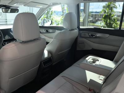 Автомобиль GAC GS8, 2 л, полный привод, АКПП, бензин в наличии в Краснодаре