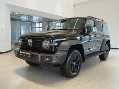 Автомобиль Tank 300, 2 л, полный привод, АКПП, бензин в наличии в Санкт-Петербург